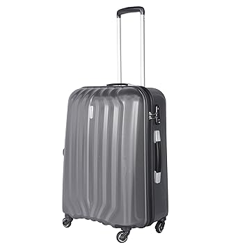 Aristocrat Polycarbonate 67 cms Graphite Hardsided Check-in Luggage (ASTNXT67MGP)