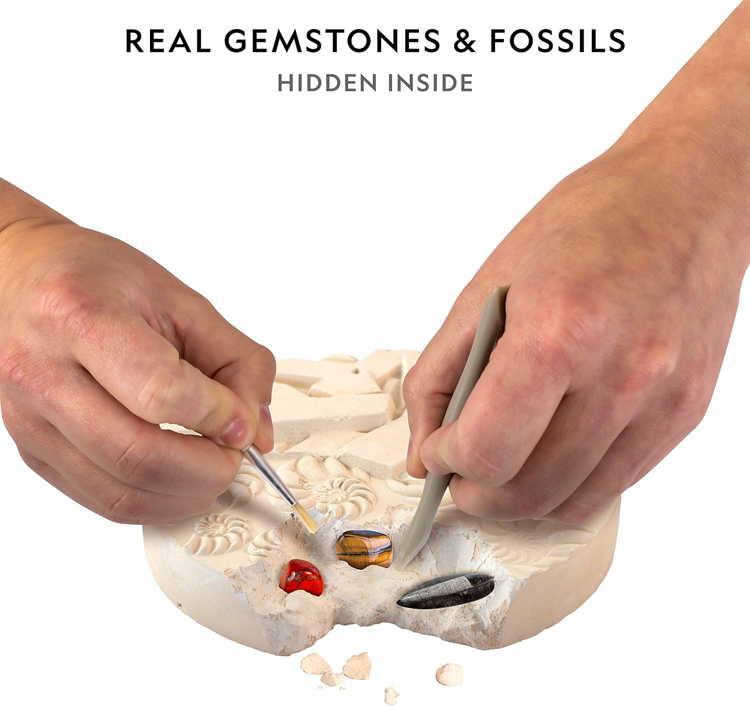 NATIONAL GEOGRAPHIC Mega Fossil and Gemstone Dig Kits - Excavate 20 Real Fossils and Gems, Great STEM Science Gift for Mineralogy and Geology Enthusiasts of Any Age: Toys & Games