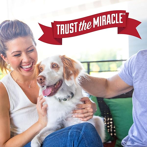 NATURE’S MIRACLE ADVANCED PLATINUM DOG PET BLOCK REPELLENT SPRAY 16 FL OZ (PACK OF 1)