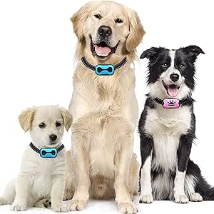 dog collar to stop barking for small dogs