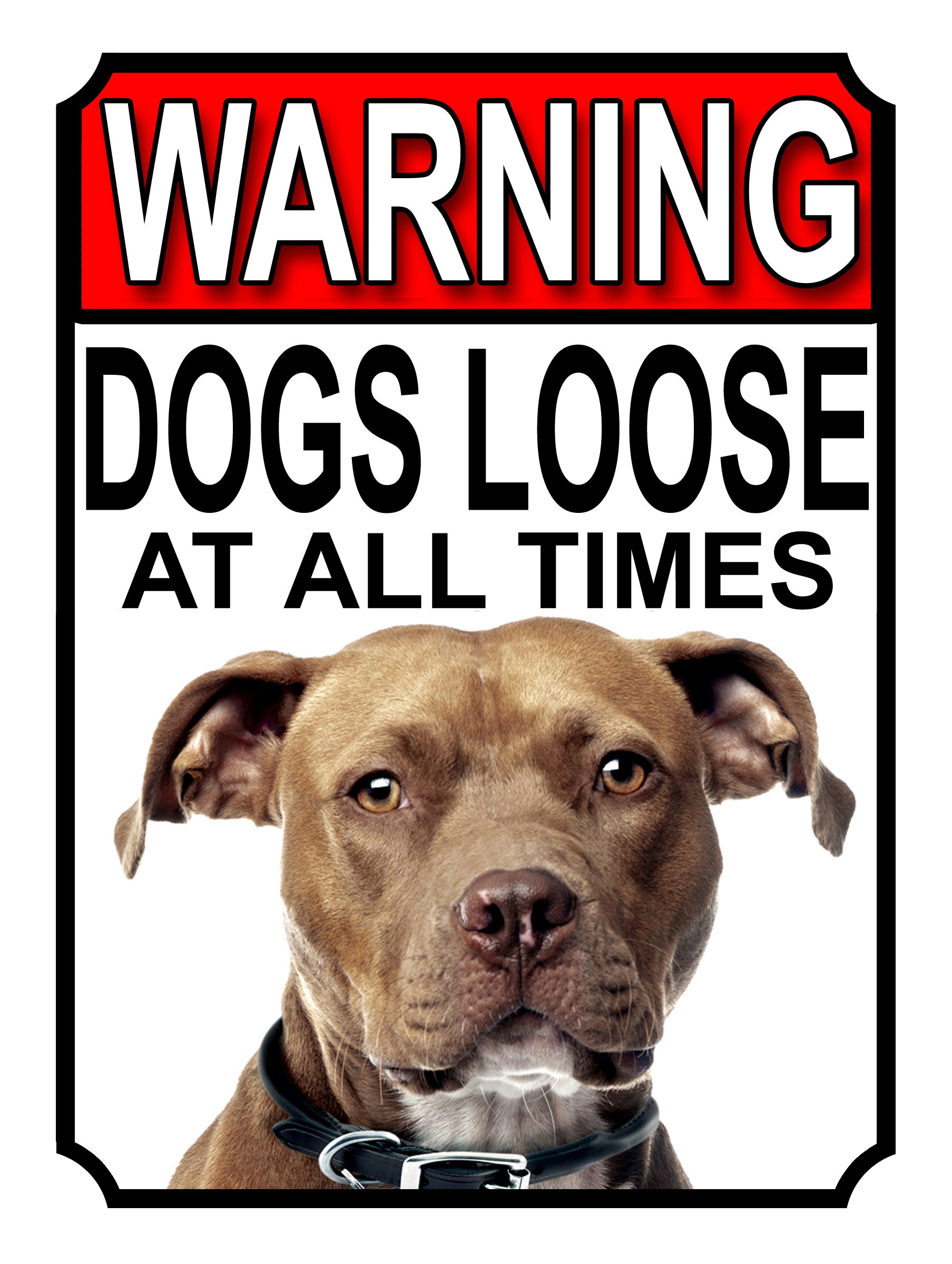 Shawprint Limited WARNING DOGS LOOSE AT ALL TIMES METAL GATE SIGN AMERICAN STAFFORDSHIRE 200MM X 150MM (1237H1) โ image 1