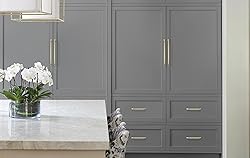 Amerock | Appliance Pull | Golden Champagne | 12