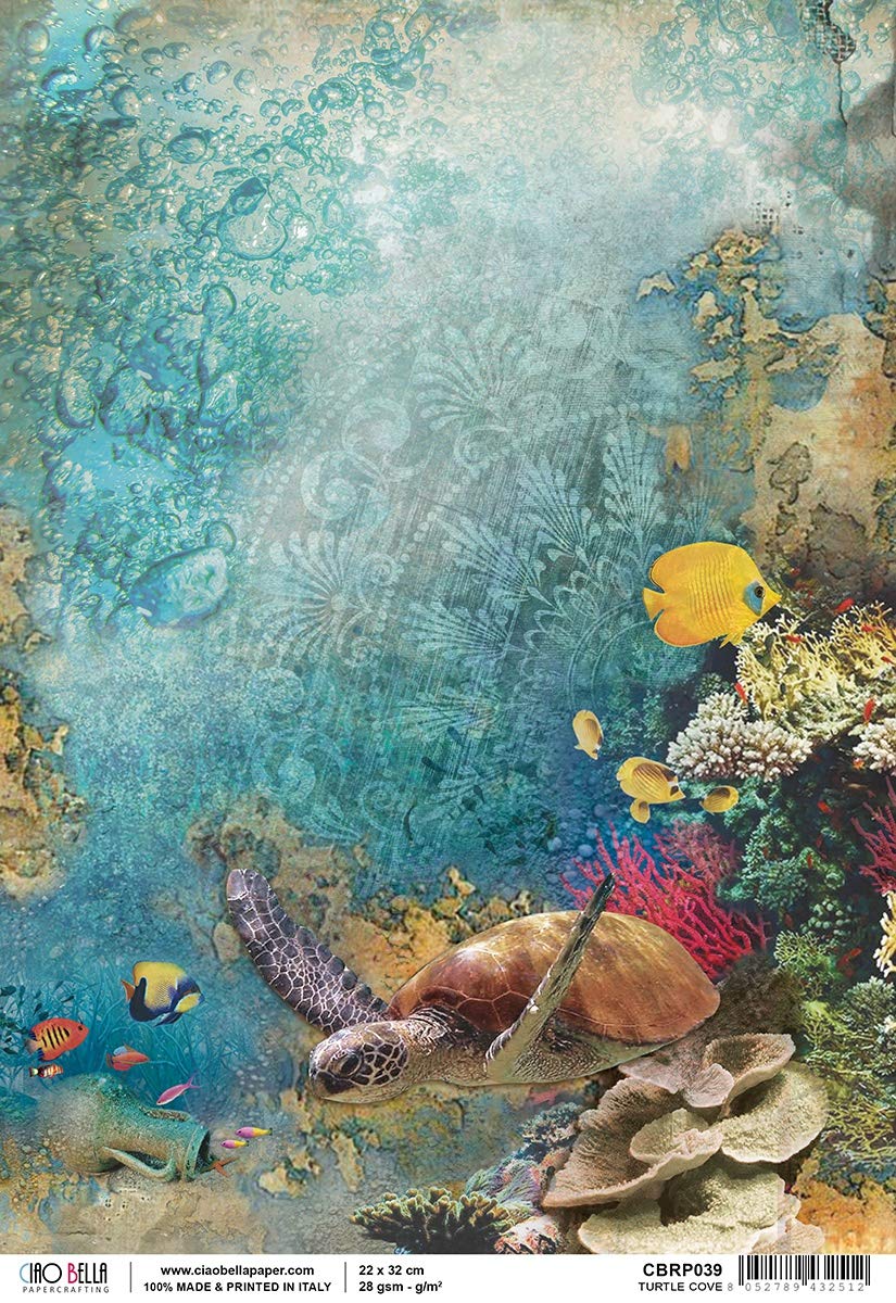 Ciao Bella Paper, Turtle Cove, One Size