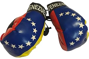 FNG MINI BOXING GLOVES Flag Mini Small Boxing Gloves to Hang Over Car Automobile Mirror – Americas