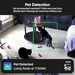 Wyze Security Plan - Cam Plus | 1 Camera | 1 Month