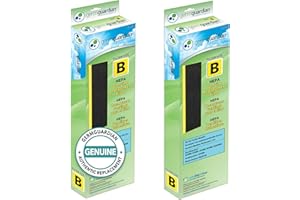 GermGuardian HEPA Pure Genuine Air Purifier Filter B, Removes 99.97% of Pollutants, Wildfire Smoke, Odors, for AC4825, AC4300, AC4900, AC4880, AC4850, CDAP4500, 2-Pack, Black/Yellow, FLT48252PK