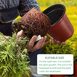 Augshy 110 Pcs 6 Inch Plant Nursery Pots Seed Starting Propagation view 3