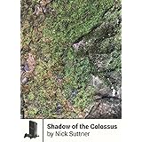 Shadow of the Colossus (Boss Fight Books)