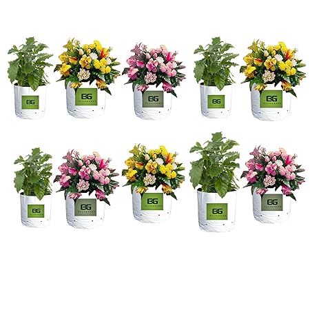 EG ELAMGREEN Grow Bags for Plants with Vegetable Seeds for Home Garden -20Qty (16x16x30cm)