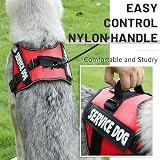 Belababy Soft No Pull Dog Harness X Small Reflective Red Adjustable Chest Vest view 5