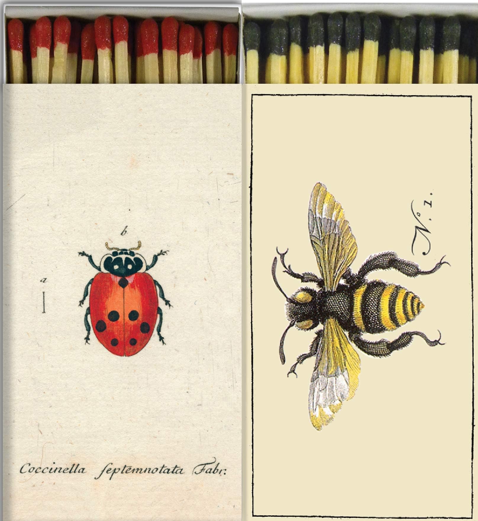 Ladybug and Bumble Bee Match Boxes with Long Kitchen Matches Great for Lighting Candles, Grills, Fireplaces and More | Set of 2 Large Designer Match Boxes