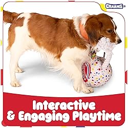 Blow Pop Plush & Rope Dog Toy – Scented Squeaky