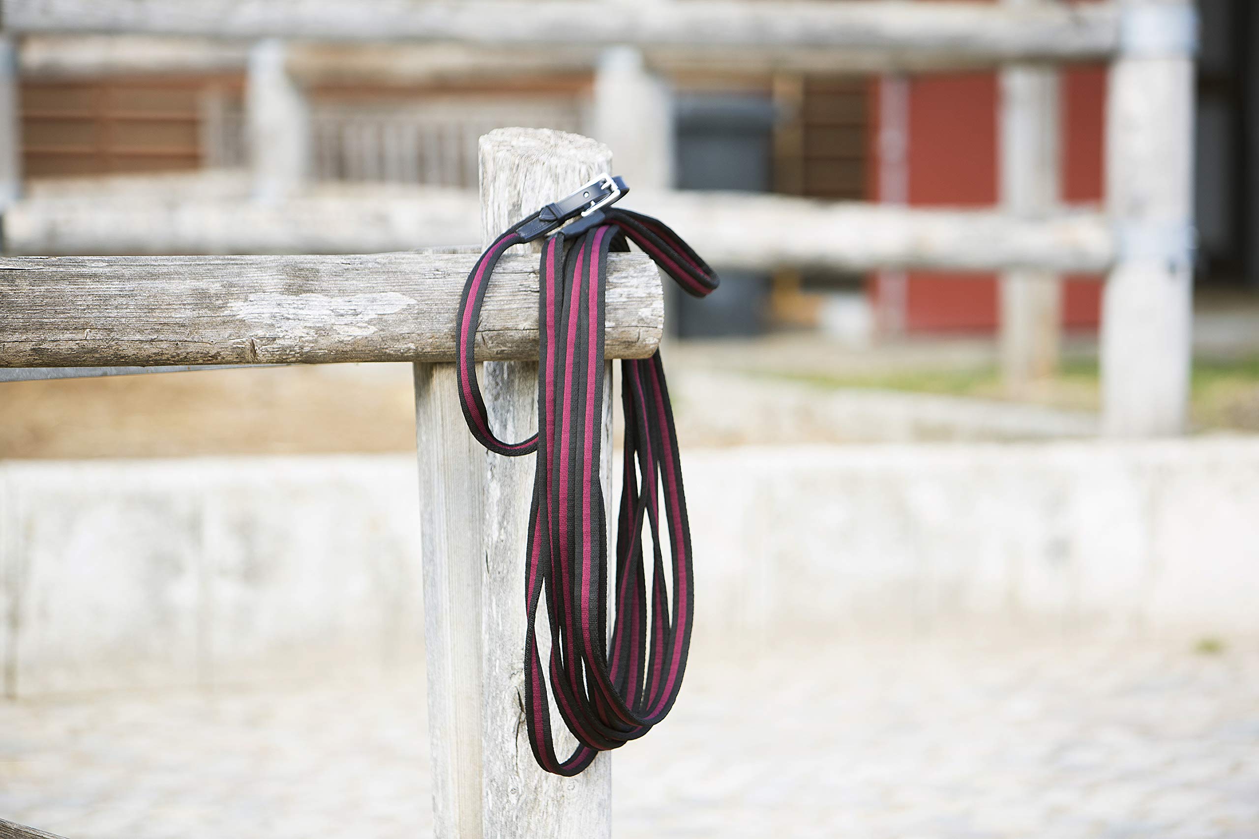 KIEFFER Soft-Lunging lead ANJA BERAN