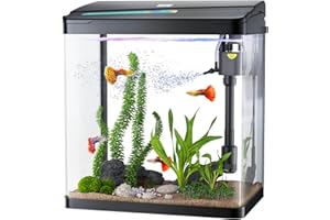 PONDON Betta Fish Tank, 3 Gallon Glass Aquarium, 3 in 1 Fish Tank with Filter and Light, Desktop Small Fish Tank for Betta Fish, Guppies, Goldfish