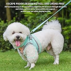 AIITLE Dog Harness and Leash Set