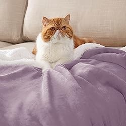 Bedsure Sherpa Fleece Blankets Queen Size for Bed