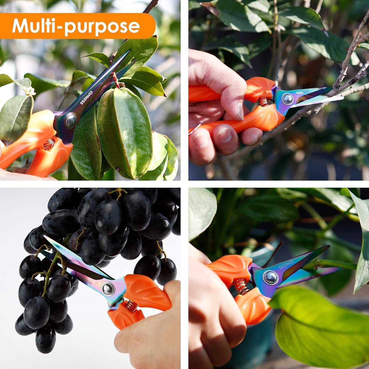 QMVESS Garden Shears 3 Pcs Hand Pruning Snips with Titanium Plated Stainless Steel Blades Precise Cuts Gardening Pruner Scissors for Plants, Grape Picking ，Small Garden Pots, Roses, Berries : Garden & Outdoor