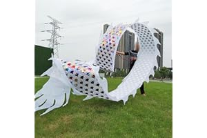 YONGYILI Dragon Poi White Dance Dragon Flinging Ribbon, Traditional Fitness Spinning Drago Ribbons with Dragon Head, Dragon P