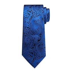 DiBanGu Silk Paisley Ties for Men Woven Necktie and