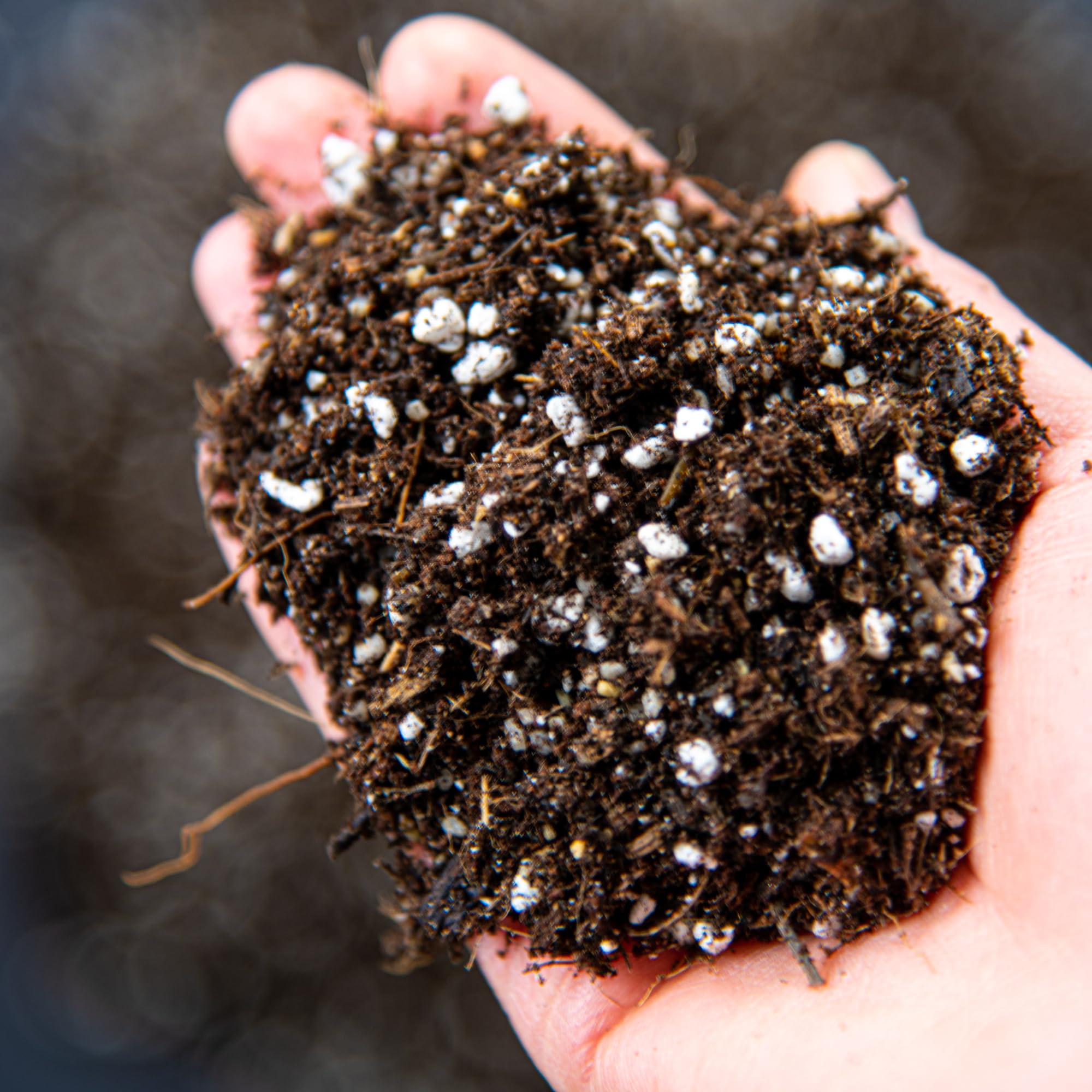 Carnivorous Plant Potting Mix – Premium Venus Flytrap, Pitcher Plant and Sundew Substrate with Perlite, Coco Coir and Leca for Healthy Growth and Strong Root Development (10L)