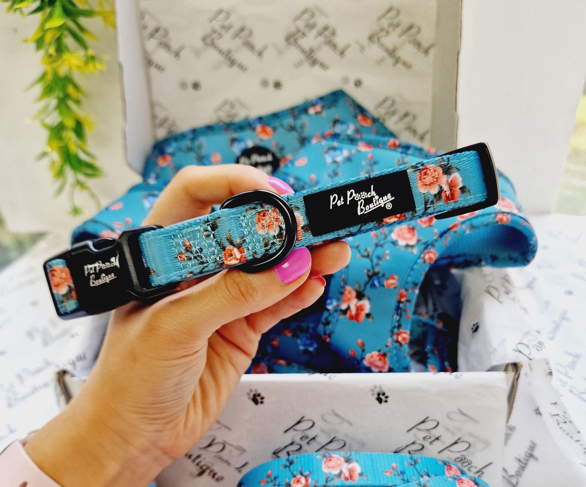 Rosie Rose Dog Collar M