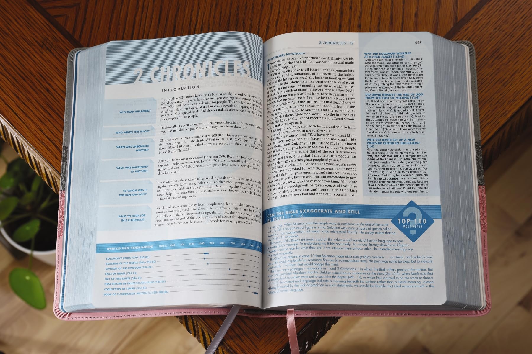 NIV, Quest Study Bible, Leathersoft, Gray/Pink, Comfort Print: The Only Q and A Study Bible NIV, Quest Study Bible, Leathersoft, Gray/Pink, Comfort Print: The Only Q and A Study Bible Imitation Leather