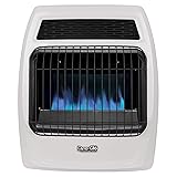 Dyna-Glo BFSS20NGT-2N 20,000 BTU Natural Gas Blue