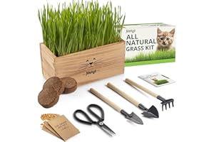 Cat Grass Kit for Indoor Cats – x4 Seed Packets | Cat Grass Seeds with Wooden Planter, Soil & Mini Gardening Tools for Nippin