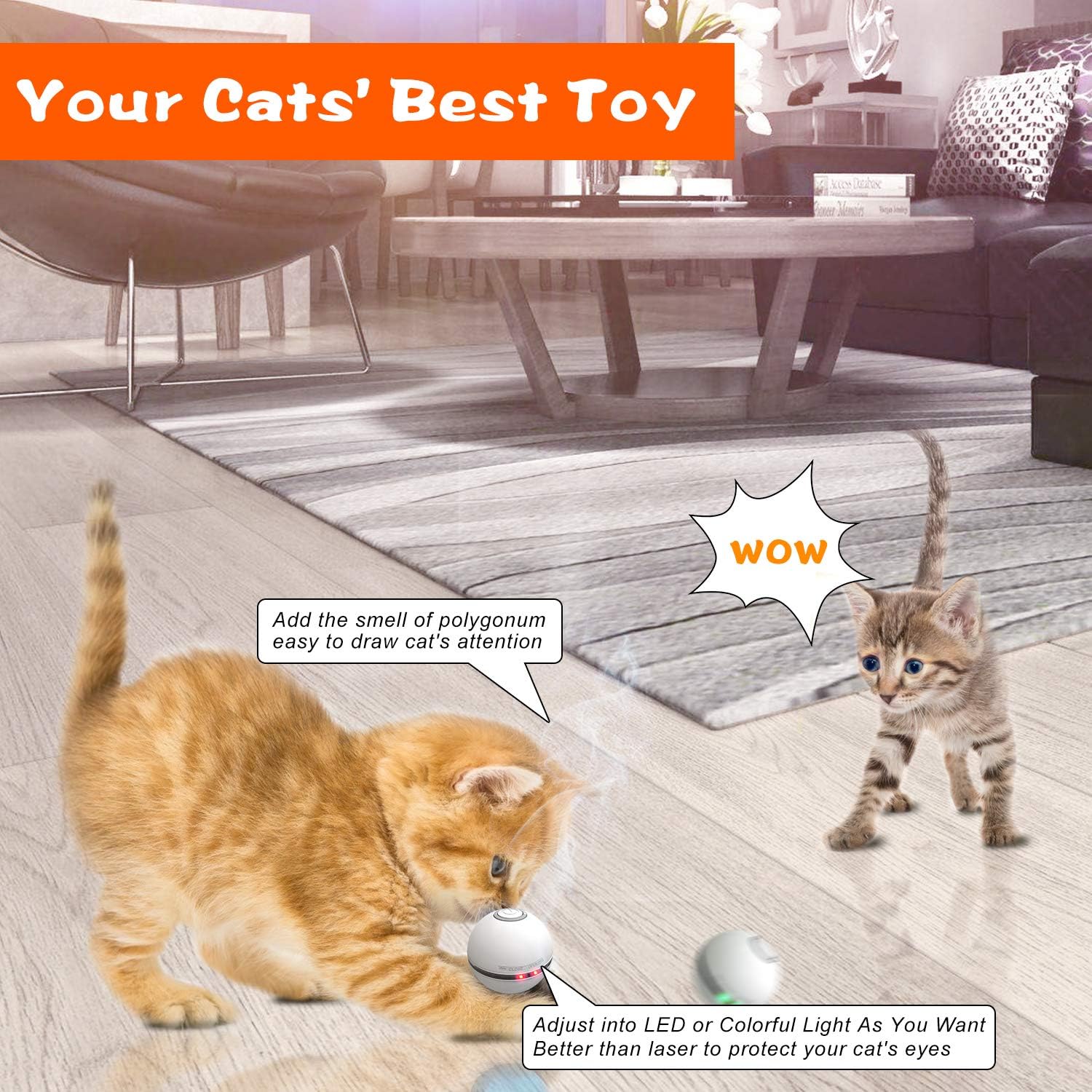 HESTIA Interactive Cat Toy Ball, Automatic Rolling Kitty Toys for Indoor Cats, USB Charging 360 Degree Self Rotating Ball, Build-in Catnip Spinning Color Led Light, with Feather/Bell Toy (White) : Pet Supplies