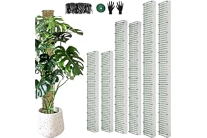 HOLANHING 60"/40"/24" Metal Moss Pole, D Shape Sphagnum Moss Pole, Moss Poles for Climbing Plants, Monstera, Indoor Climbing Plants (2 Each of 60" 40" 24")