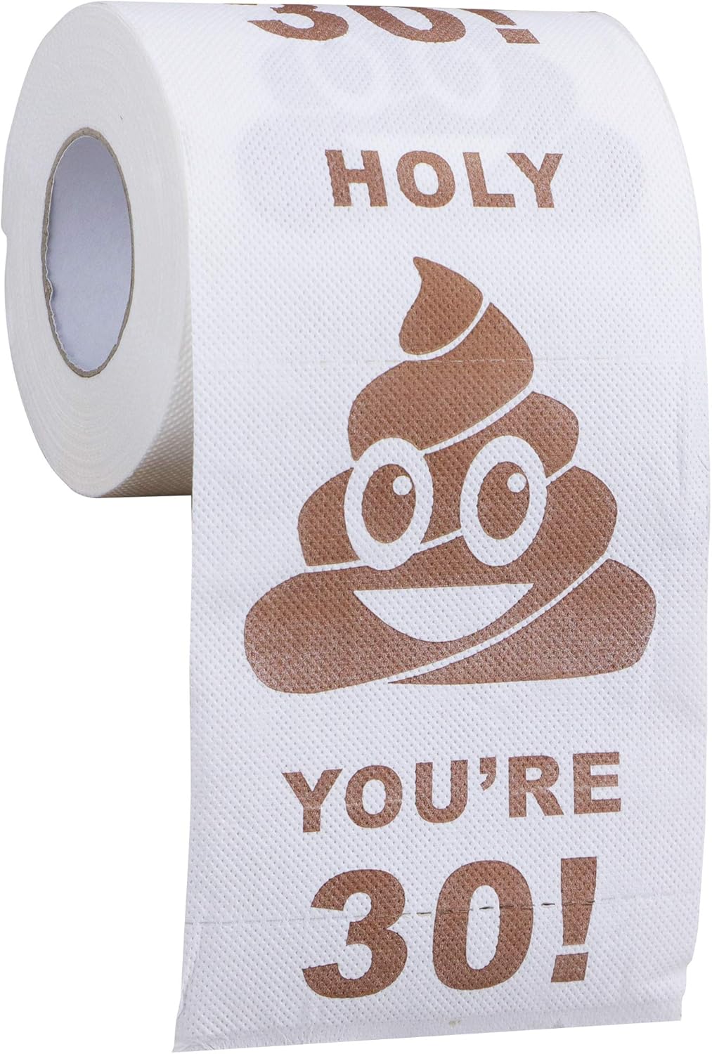 Essay on toilets picture