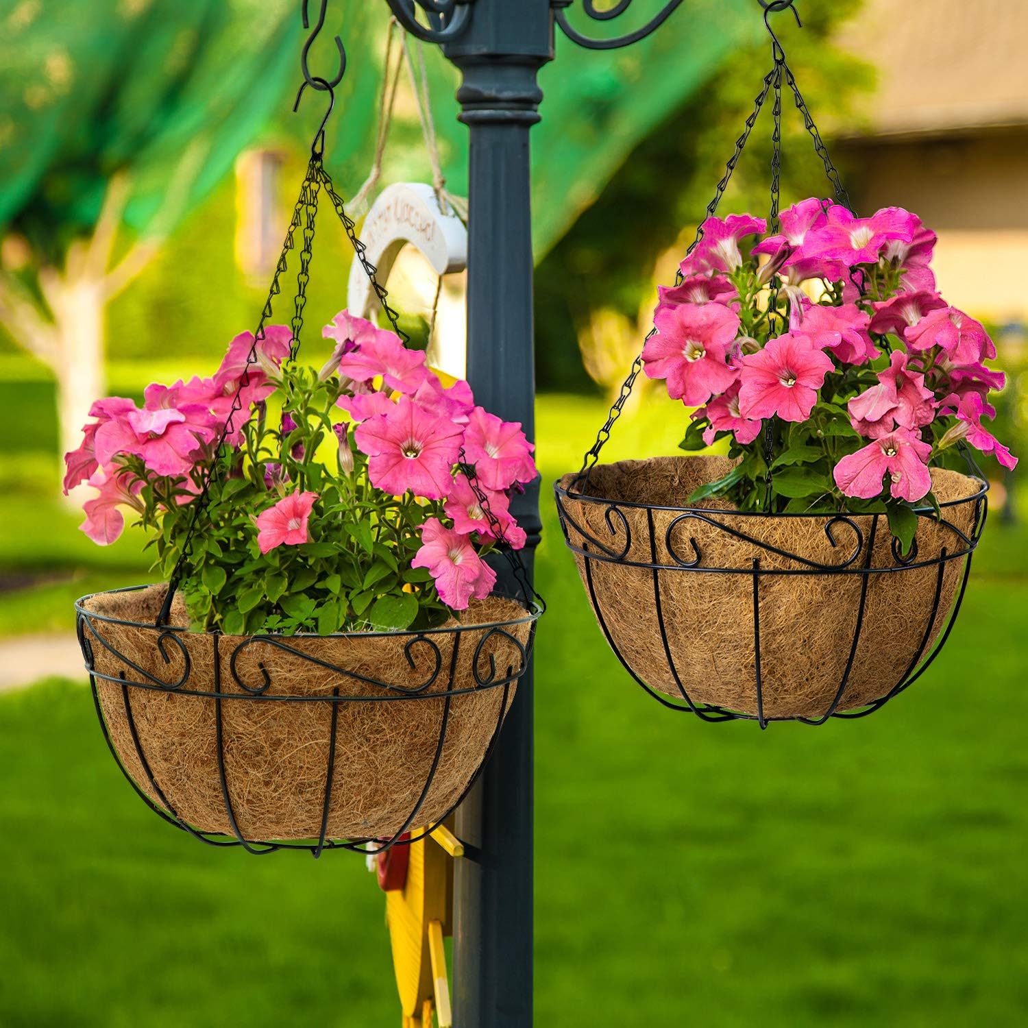 Amagabeli 4 Pack Metal Hanging Planter Baskets 10 Inch for plants Outdoor With Coco Coir Liner Round Wire Flower Pots Plant Holder Chain Porch Decor Hanger Garden Decoration Indoor Watering Black: Home & Kitchen