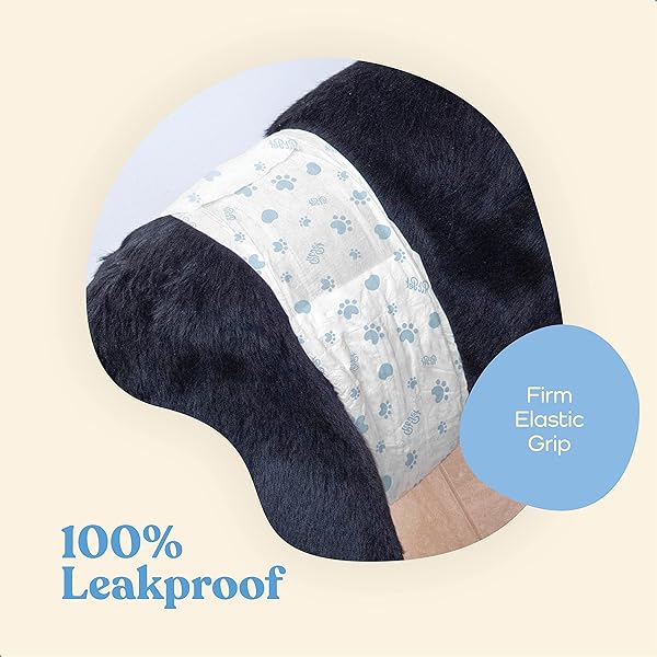 COMFORTABLE MALE DOG DIAPERS – 50-PACK SUPER ABSORBENT DISPOSABLE MALE DOG WRAPS- FLASHDRY GEL TECHNOLOGY, WETNESS INDICATOR DOGGIE DIAPERS- LEAKPROOF BELLY WRAPS FOR INCONTINENCE, EXCITABLE URINATION