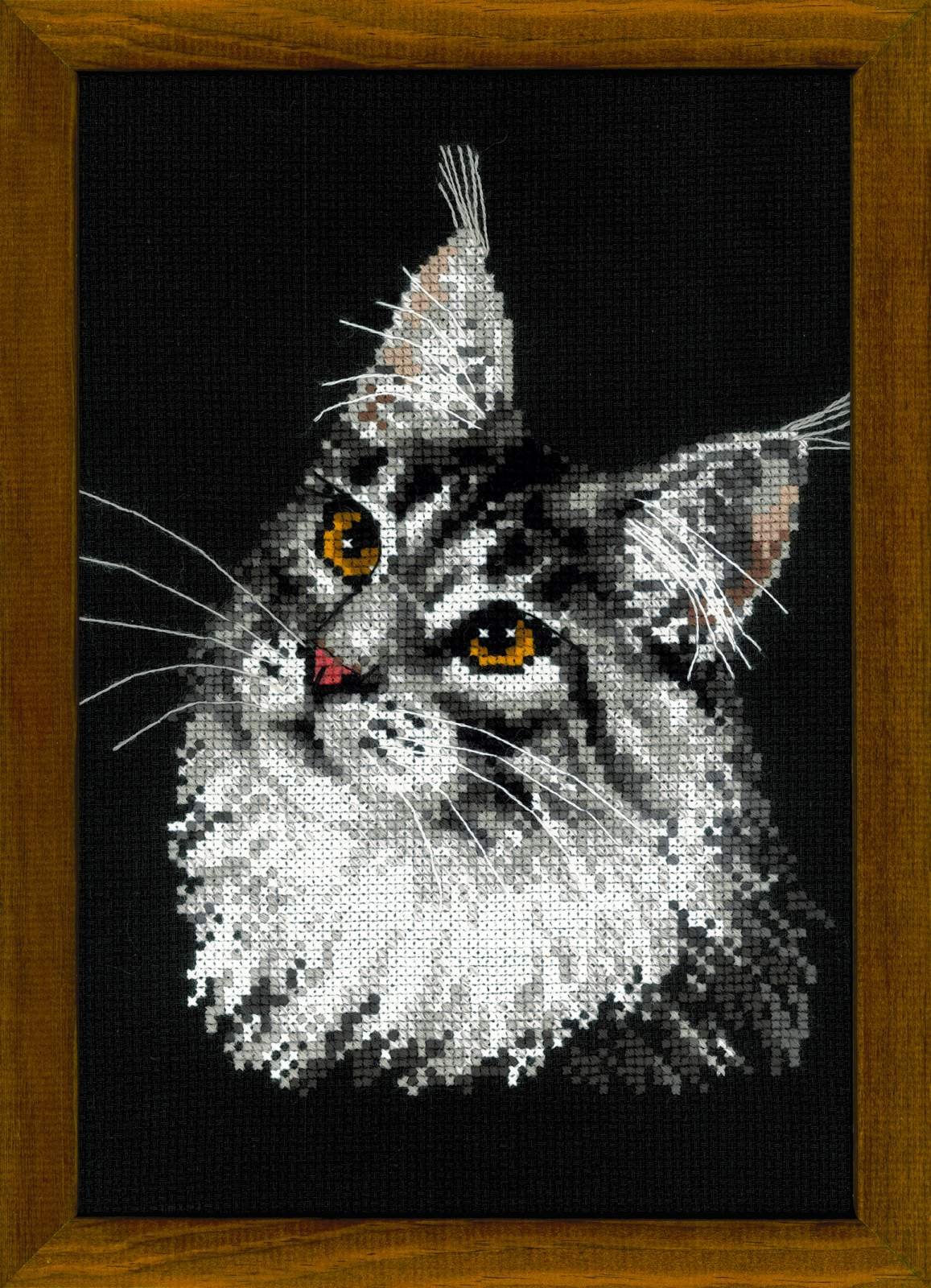 RIOLIS Cross Stitch Kit - 1599 - Maine Coon