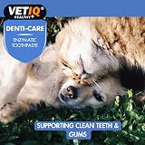 VETIQ Denti-Care Enzymatic Toothpaste for Cats & Dogs 70 g 1 Pack view 4