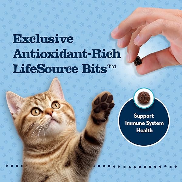 BLUE BUFFALO BABY BLUE NATURAL KITTEN DRY CAT FOOD, HEALTHY GROWTH FORMULA WITH DHA, CHICKEN AND BROWN RICE RECIPE, 2-LB BAG