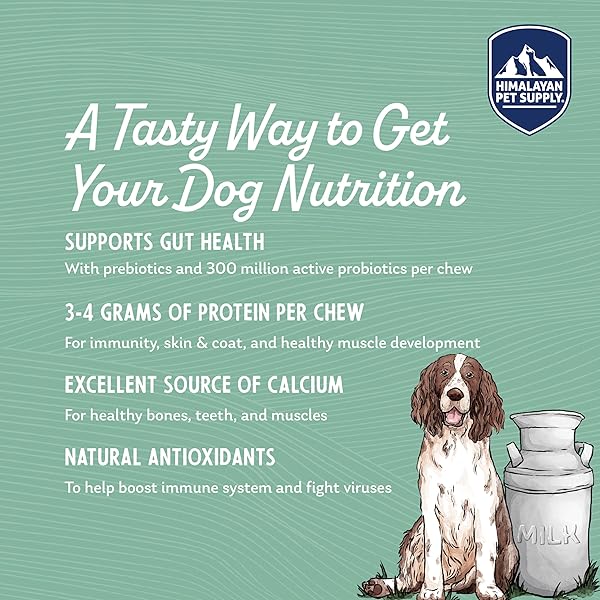 HIMALAYAN DOG CHEW YOGURT STICKS, PLAIN FLAVORED, DOG TREATS WITH PREBIOTICS, PROBIOTICS & PROTEIN, DIGESTIVE SUPPORT, LACTOSE & GLUTEN FREE, NATURAL DOG TREAT FOR ALL BREEDS, MADE IN AMERICA, 5 COUNT