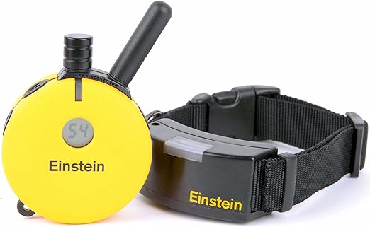 einstein collar