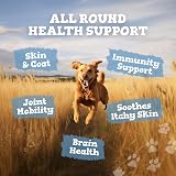 Zipvit Scottish Salmon Oil for Dogs & Cats 1 Litre Omega 3 6 9 view 2