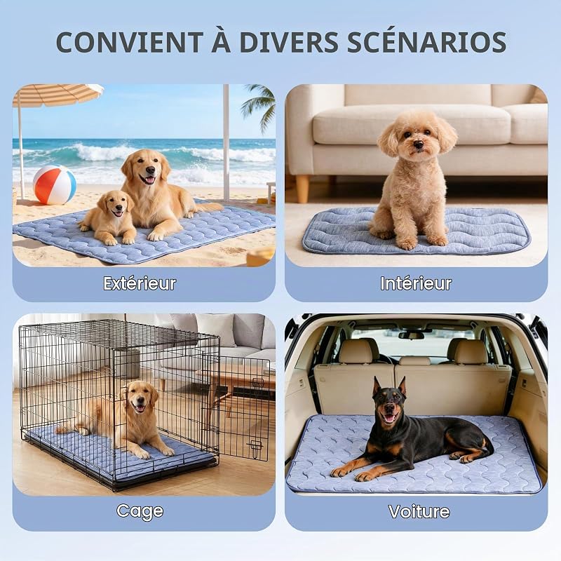 tapis rafraîchissant pour chiens, tapis de refroidissement double face pour animaux de compagnie, 70 x 48 cm, fibre de refroidissement Arc-Chill & Q-MAX > 0,45, pour canapé et voiture