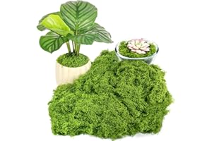 Draupnir Fake Green Moss for Plants Indoor, 5.3OZ Fake Moss for Crafts Preserved for DIY Decorative mossTable Centerpieces Decor Fairy Garden Floral Wedding (150g)