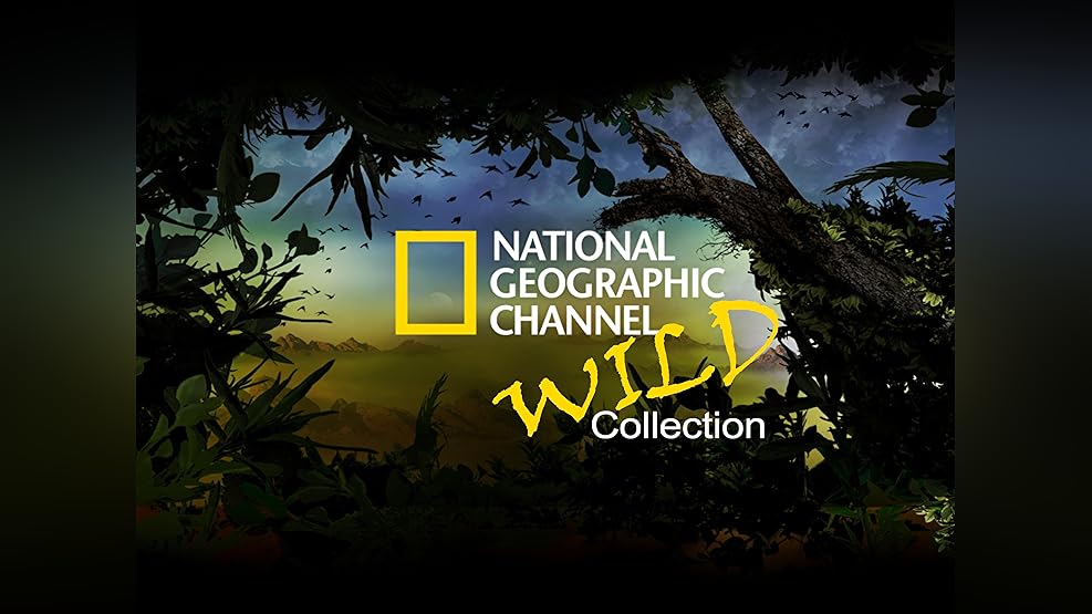 Watch nat geo online clearance