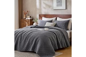 DOWN HOME Queen Quilt Bedding Set with Shams, Lightweight Bedspread Coverlet Thin Comforter Bed Cover Soft Quilted Blanket for All Season, Brushed Microfiber Diamond Stitching, Ash Gray, 88"x92"