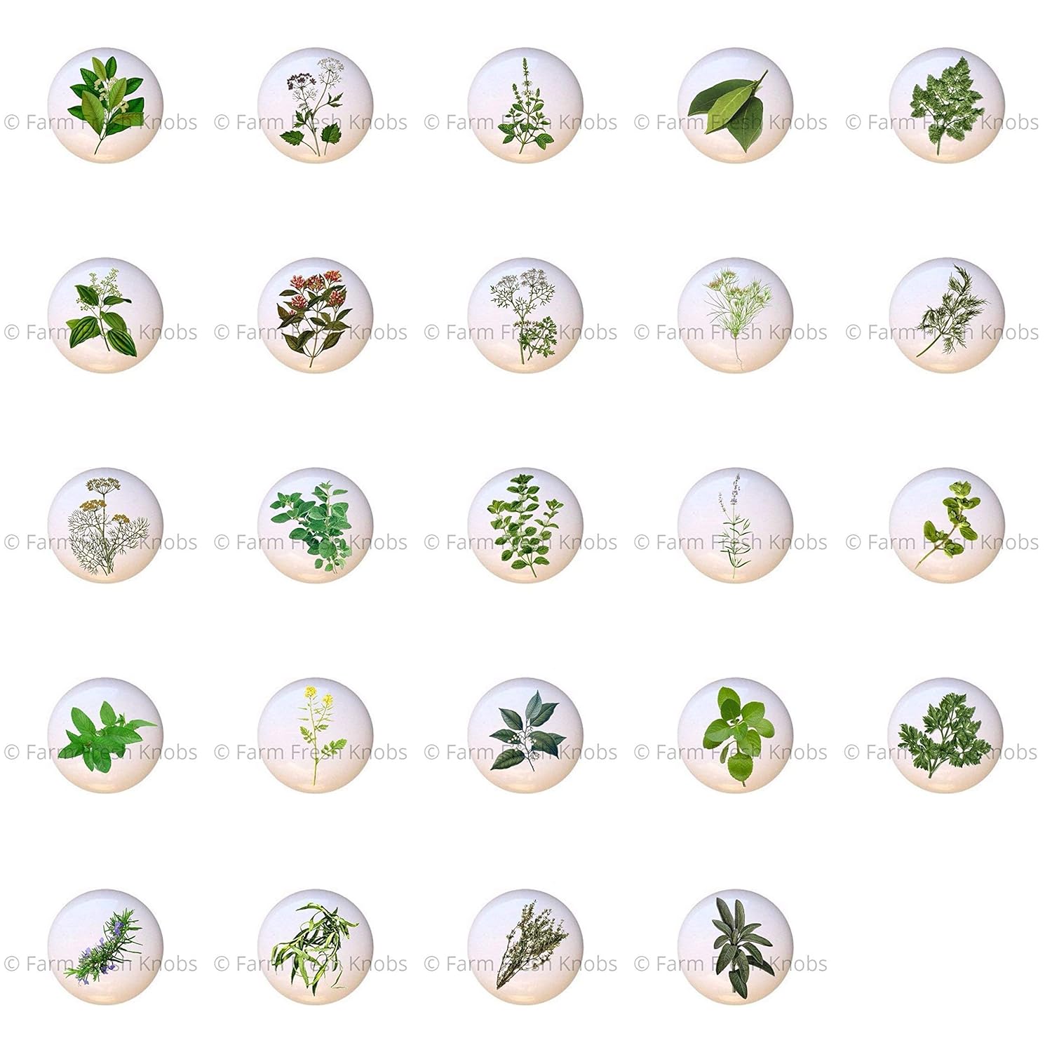 Amazon Com Set Of 24 Knobs Kitchen Herbs Spices Decorative