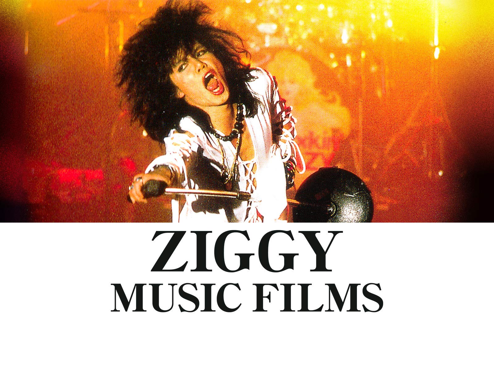 Amazon Co Jp ｚｉｇｇｙ ｍｕｓｉｃ ｆｉｌｍｓを観る Prime Video