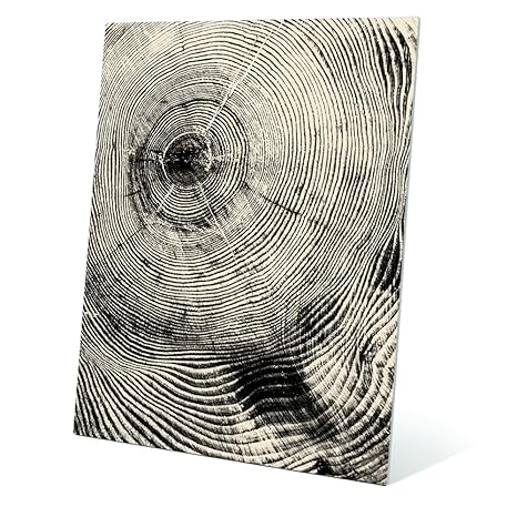 Amazoncom Tree Rings Cross Section In Black And White