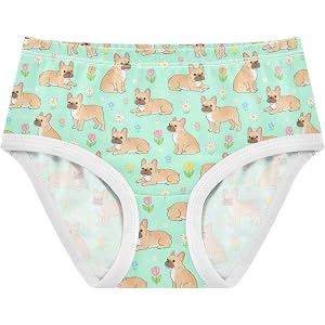 OTVEE Watermelon Popsicle Summer Design Girls Briefs Breathable Toddler P | 95% cotton 5% spandex, soft elastic waistband, ta