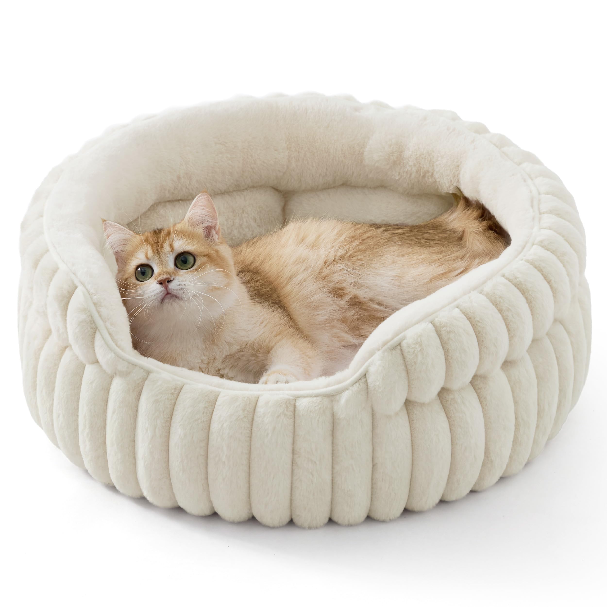 Photo 1 of Bedsure ComfyFleece™ Small Cat Bed, Washable Round Cute Pet Beds for Indoor Cats, Super Soft Corduroy Kitten Bed with Anti-Slip Bottom, 20''x20''x8'', Cream