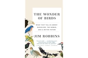 The Wonder of Birds: What They Tell Us About Ourselves, the World, and a Better Future