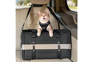 Petsfit Large Cat Carrier for 2 Cats, Lightweight Collapsible Double Cat Carrier for Travel, 4-Sided Breathable Mesh, with Ad